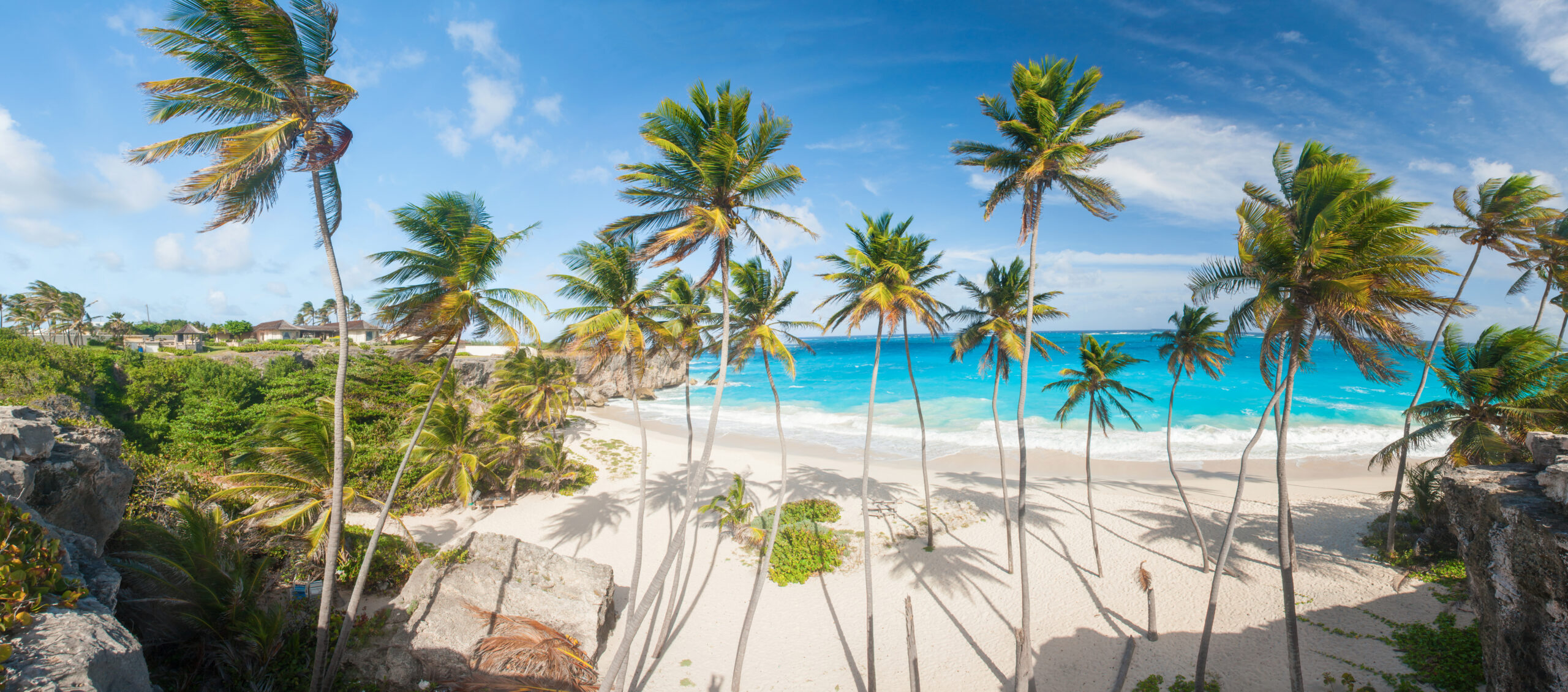 Bottom Bay is one of the most beautiful beaches on the Caribbean island of Barbados. It is a tropical paradise with palms hanging over turquoise sea. Panorama