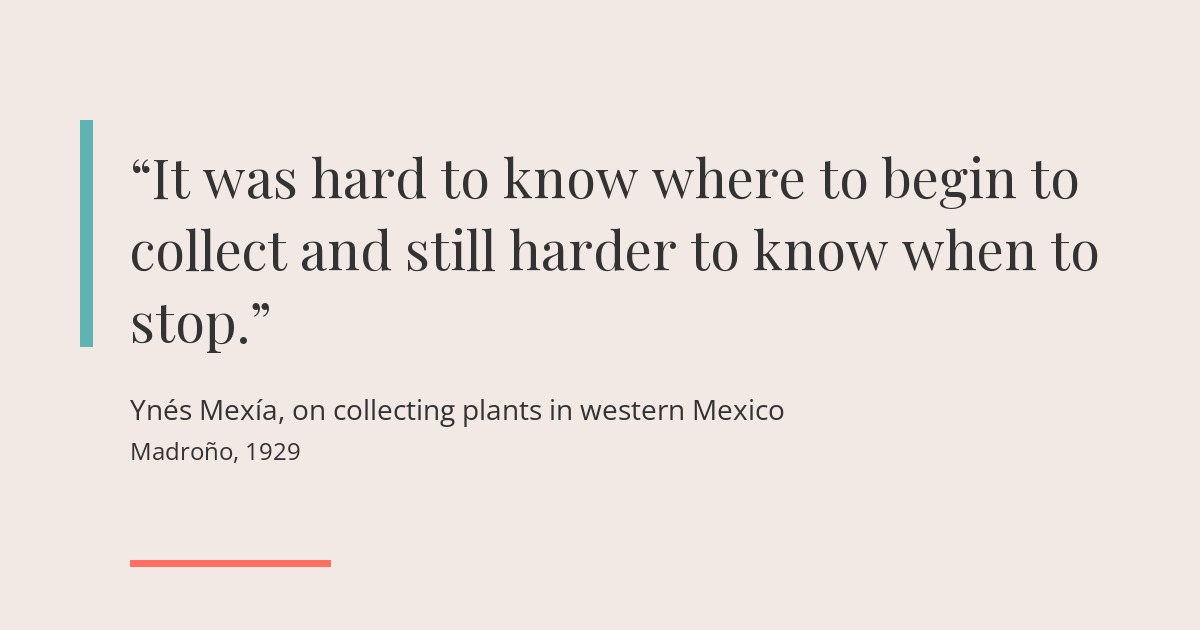 Quote card in warm beige with a teal bar: It was hard to know where to begin to collect and still harder to know when to stop. Ynés Mexía, on collecting plants in western Mexico, Madroño, 1929